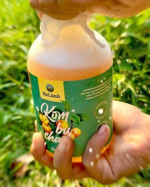  at Rose's Family Vegan Shop - Vegan Grocery, Vegan Icecream and Healthy Kombucha in Hoi An