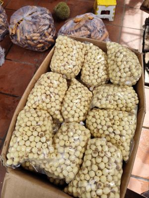  at Rose's Family Vegan Shop - Vegan Grocery, Vegan Icecream and Healthy Kombucha in Hoi An