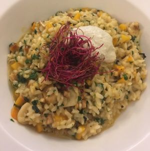 risotto with cashew cheese  at Plevel in Prague