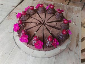 raw cocoa cake at Plevel in Prague