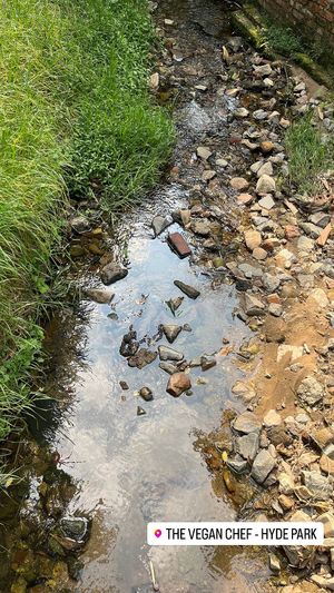   at The Vegan Chef - Hyde Park in Johannesburg