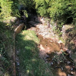  at The Vegan Chef - Hyde Park in Johannesburg