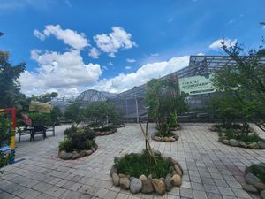 Hydroponics area at Teratai Cafe & Resto in Tangerang