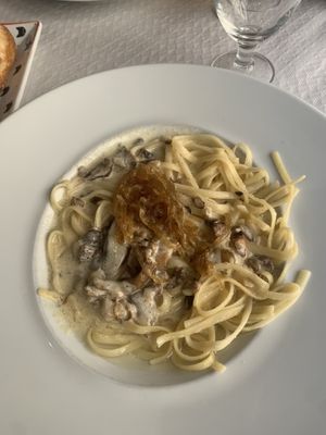 tagliatelle fungi  at Cafe Mandala in Salamanca