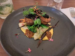 "Scallops" & Okra at roots in Porto