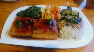 Tofu with veggies and rice at Taiwan Cafe in Pokhara