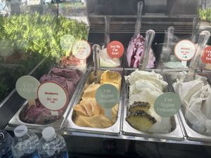 Clearly marked vegan options  at Gelatissimo Waikiki in Honolulu