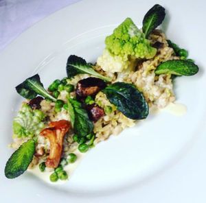 Barley Mashroom Risotto with sweet peas, brussel sprouts and creamy mustard sauce. at Estrella in Prague