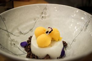 coconut panna cota with mango sorbet and chocolate at Estrella in Prague