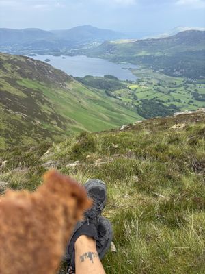   at Yonder   in Keswick