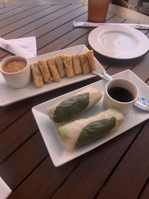 Summer rolls with soy sauce, fried tofu with sweet and sour sauce topped with crushed peanuts   at Zen Bistro in Daytona Beach