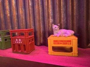 Cute decor  at The original Shinshu gyoza Tsukumo Yokocho - 元祖信州餃子 ツクモ横丁 in Nagano