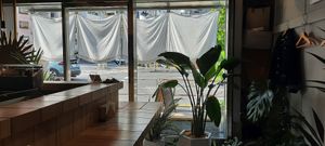  at Earthful Cafe Tokyo in Tokyo