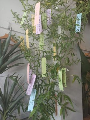  at Earthful Cafe Tokyo in Tokyo