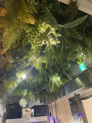   at Earthful Cafe Tokyo in Tokyo