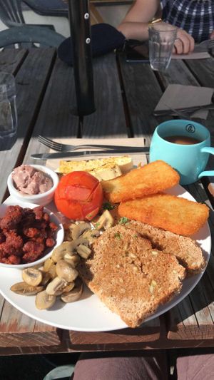 vegan breakfast with halloumi style tofu and tea with soy milk   at Fine Fettle Cafe in Taupo