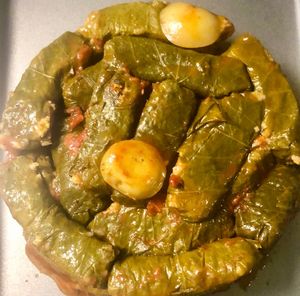  at FALAFEL+ in Grasse