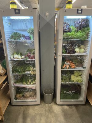   at Plattsalat West in Stuttgart