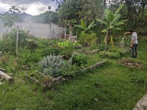 They also have a garden and grow their own food. at Prasādam in Vilcabamba