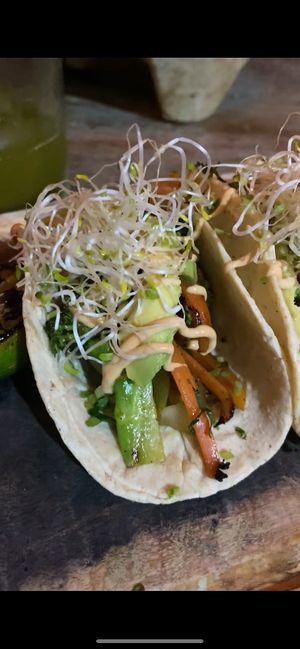   at Restaurant Raices Balche in Tulum