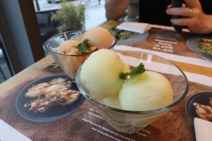 Sorbet for dessert at Wagamama - Spinningfields Square in Manchester