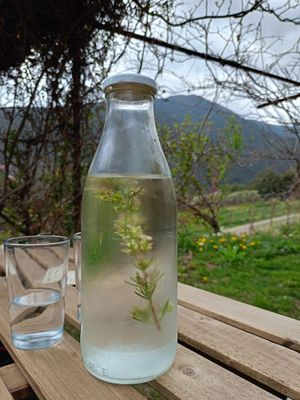 at La Cort Montseny in Ducat Del Montseny