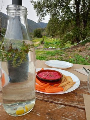 Aigua amb farigola i llimona i hummus de remolatxa at La Cort Montseny in Ducat Del Montseny