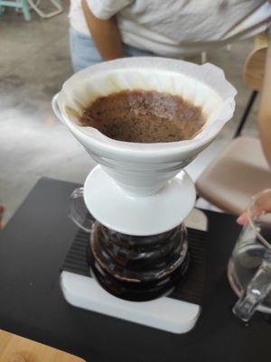 Café de especialidad, infusionado (aquí, la máquina de filtro mientras se preparaba el café) at Tejemaneje in Murcia