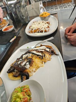  at Consuelo in Gainesville