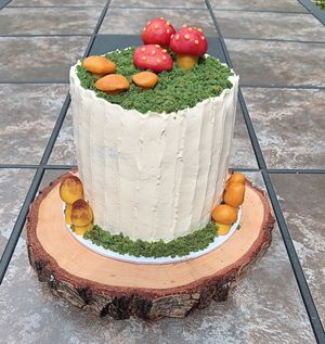  at Lesley's Vegan Cakes in Nottingham