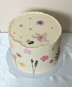  at Lesley's Vegan Cakes in Nottingham