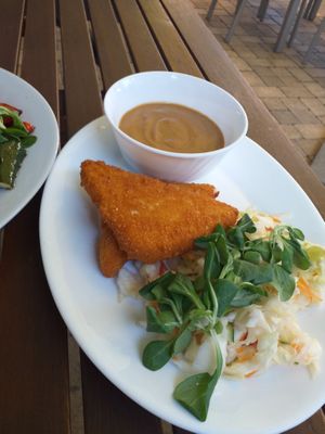 Vyprážaný vegan syr, zeleninka a sójový dip :) at Vega Heaven in Kosice