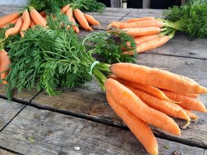 Local products at Riverside Grocery in Whitehorse