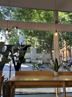   at Dillons Coffee in London