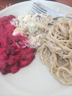 Portions of a few different mains -- very rich tasting and filling! at Govinda in Warsaw