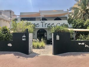 The venue  at The Lime Tree Cafe - Jumeirah in Dubai
