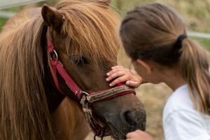 Nuestros animales son una parte de nuestra família at Agrobotiga Can Juanals in Conjunt De Castell D Aro