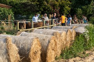 Visitas guiadas concertadas at Agrobotiga Can Juanals in Conjunt De Castell D Aro
