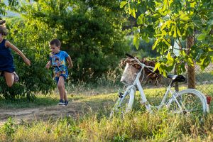 Tierra y espacio natural at Agrobotiga Can Juanals in Conjunt De Castell D Aro