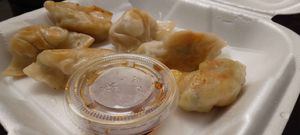 Vegan gyoza at Hibachi 88 in Kissimmee