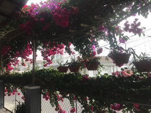  at NOW and HERE Vegetarian Buffet in Da Lat