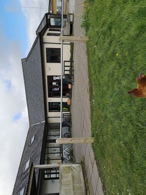  at Wild Vibes Cafe in Redruth