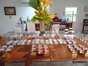 Inside at Belmont Estate in Belmont