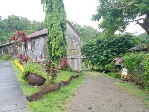 At the back has animals (turtle, speaking parrot, and a goat milk farm 😡) at Belmont Estate in Belmont