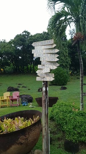  at Belmont Estate in Belmont