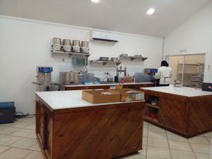 This is where they remelt the aging chocolates into the bars and put it to cool at the back. Then package it. at Belmont Estate in Belmont