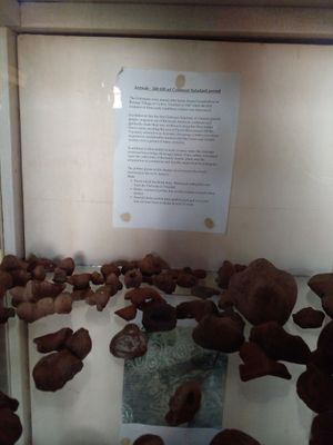  at Belmont Estate in Belmont