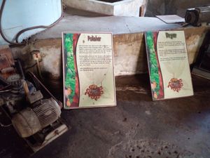  at Belmont Estate in Belmont