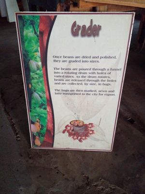  at Belmont Estate in Belmont