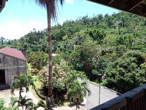 View from the restaurant at Belmont Estate in Belmont